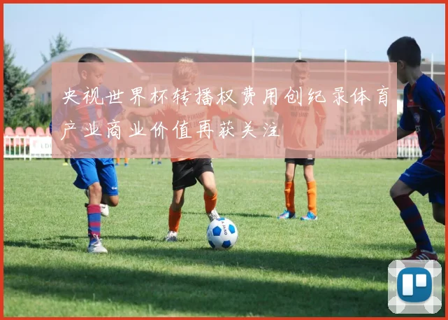 央视世界杯转播权费用创纪录体育产业商业价值再获关注