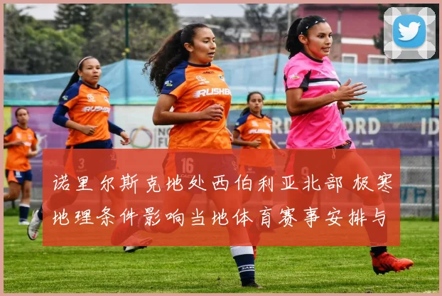 诺里尔斯克地处西伯利亚北部 极寒地理条件影响当地体育赛事安排与训练环境