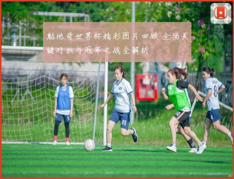 魁地奇世界杯精彩图片回顾 全场关键对抗与冠军之战全解析