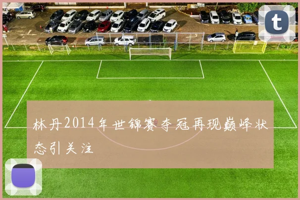 林丹2014年世锦赛夺冠再现巅峰状态引关注