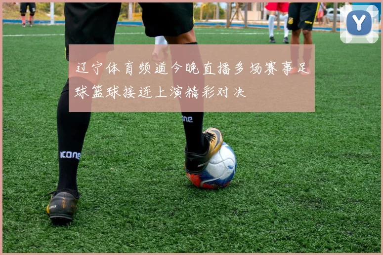 辽宁体育频道今晚直播多场赛事足球篮球接连上演精彩对决