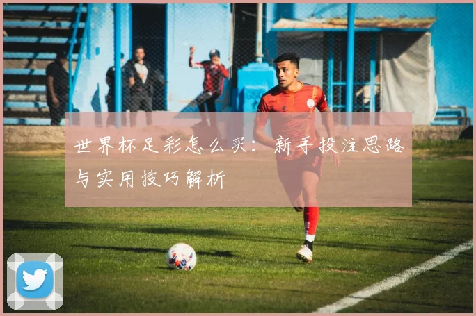 世界杯足彩怎么买：新手投注思路与实用技巧解析