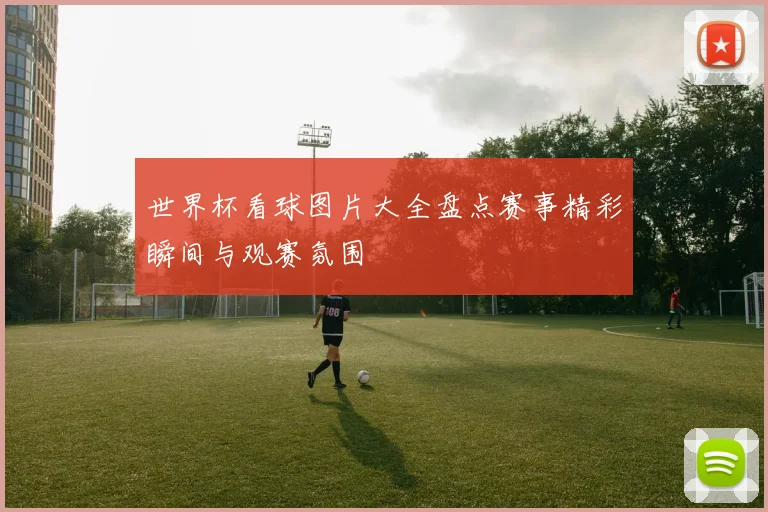 世界杯看球图片大全盘点赛事精彩瞬间与观赛氛围